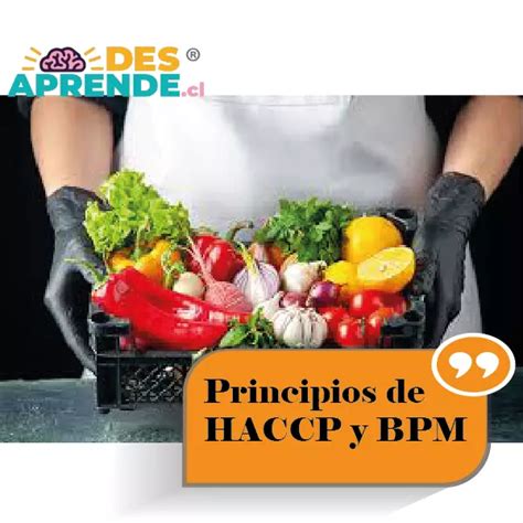 Principios De Haccp Y Bpm Desaprende