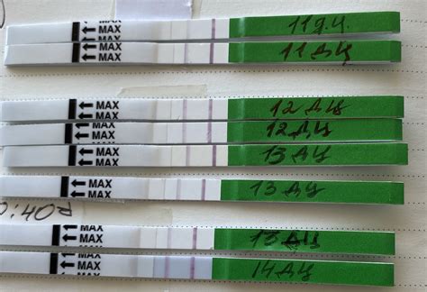 Тесты на овуляцию Ovuplan - Вопросы о планировании беременности - BabyPlan