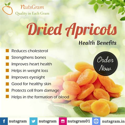 health benefits  dried apricots    eat   day artofit