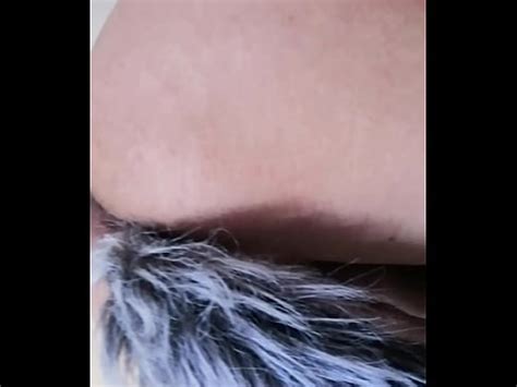 Anal Cola De Zorra XVIDEOS