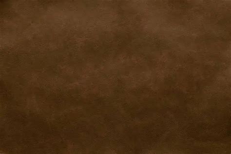 brown pictures   images  unsplash