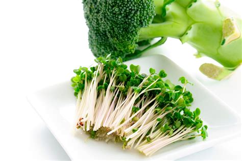 Green Power Surge The Surprising Hidden Health Benefits Of Broccoli Sprouts