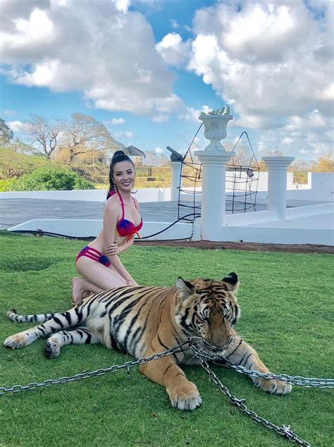 Hoa khôi Thúy Vi mặc bikini gợi cảm chụp ảnh cùng mãnh thú