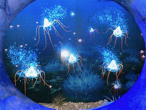 Naked Ocean In Taipei