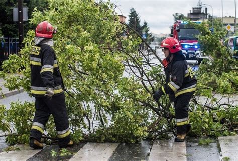 Skutki wichury w Łódzkiem Powalone drzewa i złamane konary Zerwane