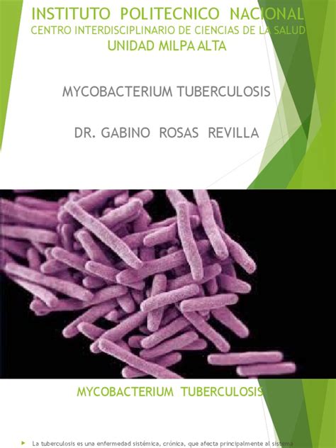 PDF Mycobacterium Tuberculosiss DOKUMEN TIPS