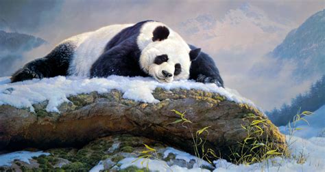 Panda 4k Ultra HD Wallpaper | Hintergrund | 4139x2209 | ID:1035549 ...