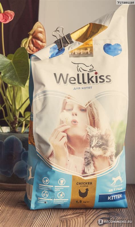 Корм для кошек Wellkiss для котят до 1 года - «Для хорошего пищеварения ...