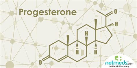 Progesterone: Structure, Crucial Functions And Adverse Effects Of This ...