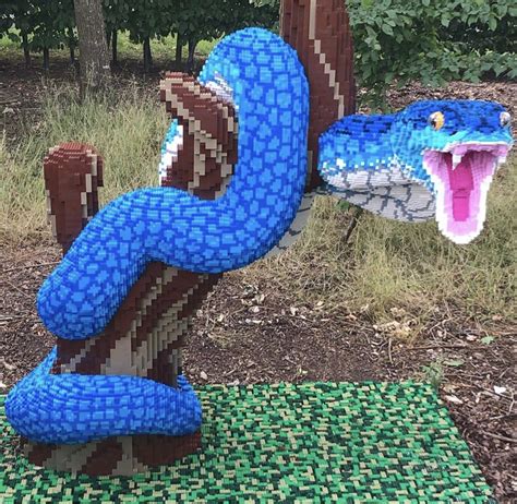 Marwell Zoo Welcomes New Supersized Arrivals Ahead Of Reopening