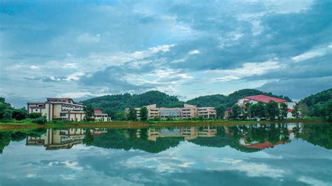 Iit Guwahati Admission 2024 Courses Fees Placement Cut Off
