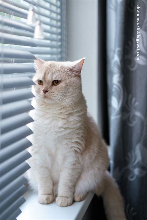 Alexandr Maximov: Одно ISO 3200 - две камеры