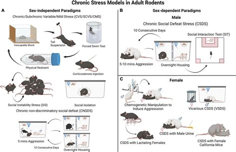 Rodent Models For Chronic Stress Induced Depression Like Behaviors A