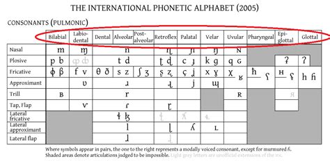 Ipa Alphabet Chart With Examples Belajar Ipa Bersama