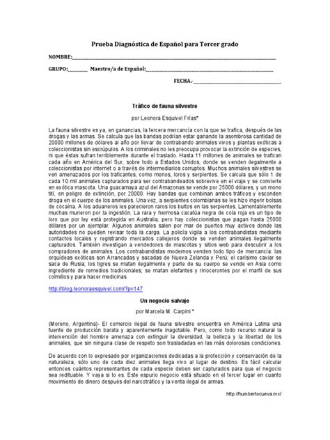 Pdf Prueba Diagnc B Stica Para Tercer Grado Dokumen Tips