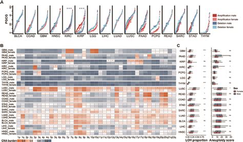 Identification And Analysis Of Sex Biased Copy Number Alterations