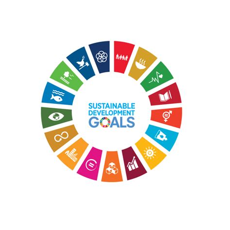 Playing your part - delivering the UN Sustainable Development Goals ...