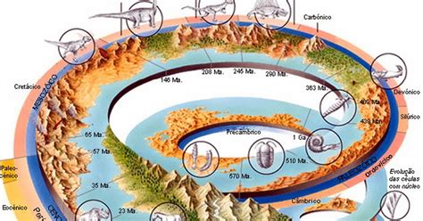 Qual A Importância Dos Fósseis Para O Estudo Da Evolução - Fósseis, a evolução da vida: Museu virtual. : História da vida na Terra