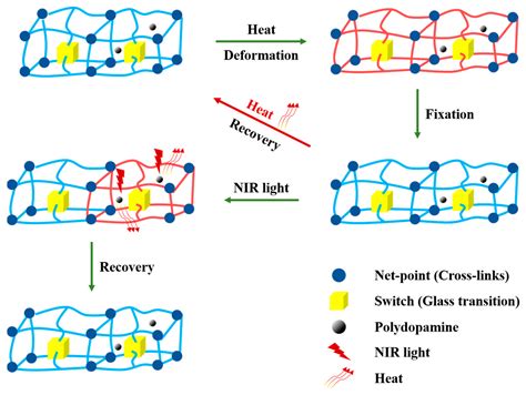 Polymers Free Full Text Near Infrared Light Triggered The Shape