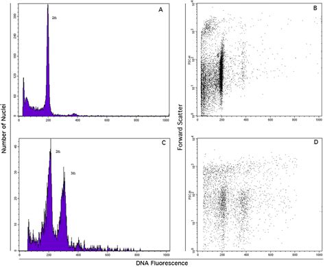 DNA Markers and FCSS Analyses Shed Light on the Genetic Diversity and