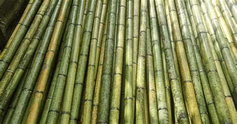 Bamboo Supplier In Vietnam The Leading Bamboo Materials