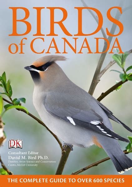 Small Birds Of Canada Book Bird Canada