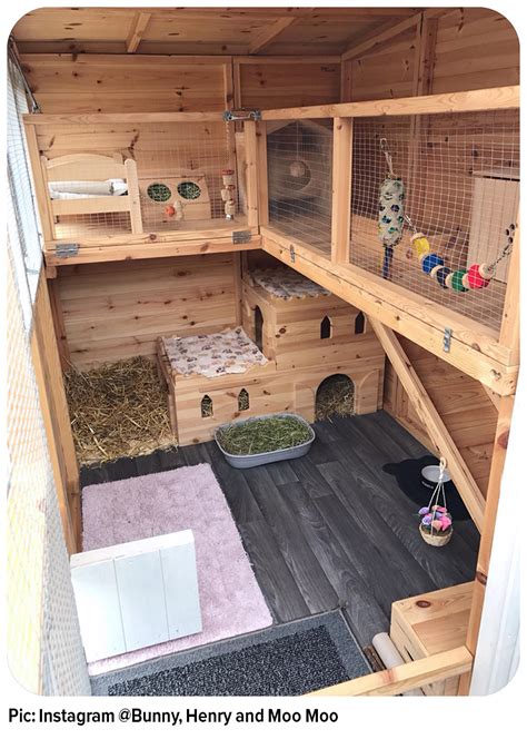 The Rabbit Home That Has The Wow Factor Best 4 Bunny