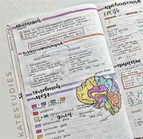 Pin by rudivalerya on study | Study notes, Medical student study ...