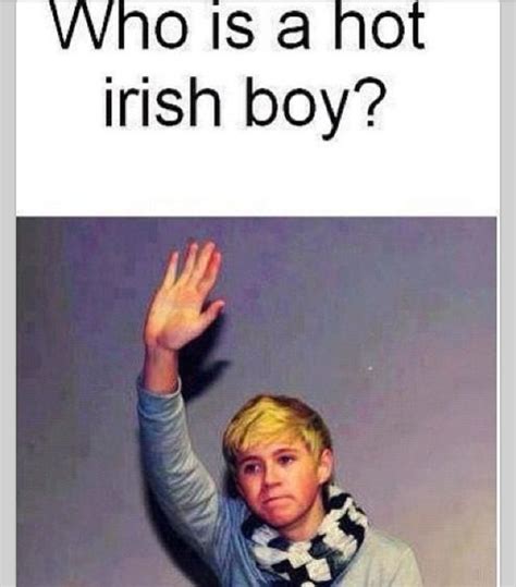 Hot Irish Boy O My Gosh I Love This One Direction One Direction Memes I Love One