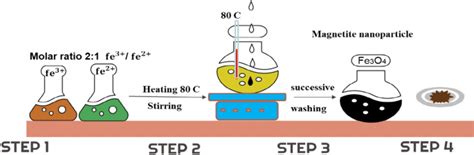 preparation  magnetite nanoparticles   application