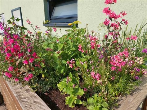 Kompostierungsanlage Schmidt Hofgut Bayha In Linsengericht