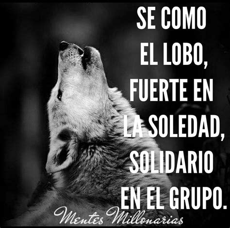 Pin De Marlene Munoz Riveros En Wolf Frases Sabias Frases De Lobos