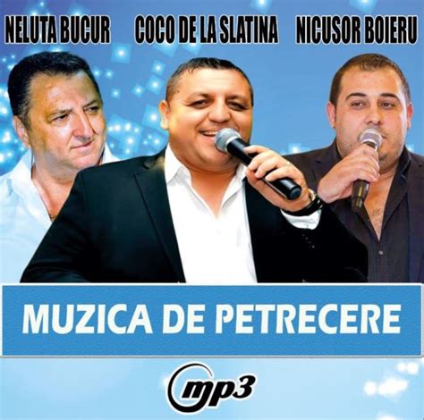 Muzica De Petrecere - Mp3 | Big Man Romania