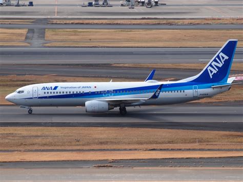 全日空 Boeing 737 800 Ja60an 羽田空港 航空フォト By Ft51anさん 撮影2022年01月19日