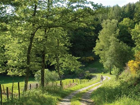 Chemin De Paris Magnac Laval Haute Vienne Unidivers