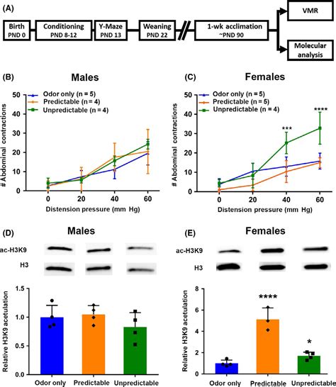 Sex Differences In The Epigenetic Regulation Of Chronic Visceral Pain