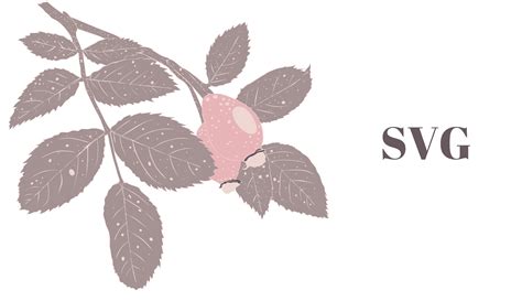 decorative branch graphic  aneisspiaf creative fabrica