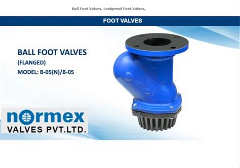 Normax Blue Normex Ball Foot Valve Flanged At Rs 2500 Piece In