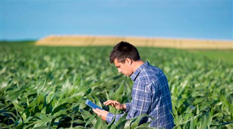 Retrato Del Ingeniero Agr Nomo Blog Agro