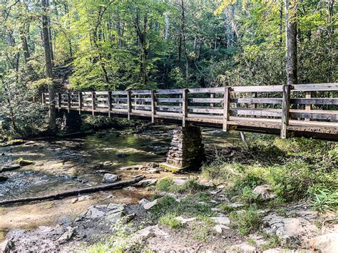 Cades Cove Quota Hunt at Lynn Craig blog