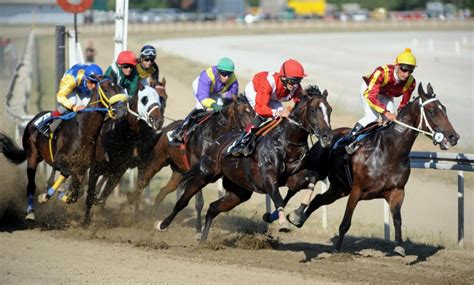 Understanding The Odds How To Calculate Horse Race Betting Payouts