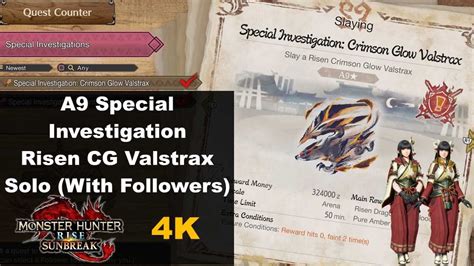 MHR Sunbreak A9 Special Investigation Solo With Followers Risen