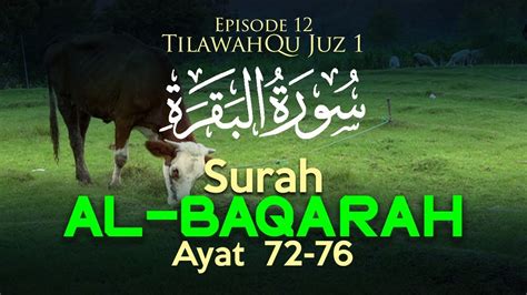 Tilawahqu Surah Al Baqarah Ayat 72 76 Episode 12