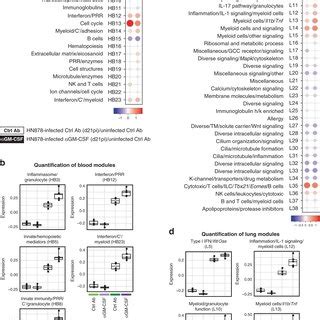 GM CSF Controls Transcriptional Signatures Associated With TB