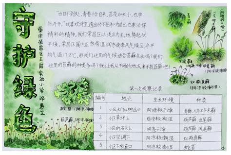 第二届青少年生物多样性探究大赛（重庆）征集启事 搜狐大视野 搜狐新闻