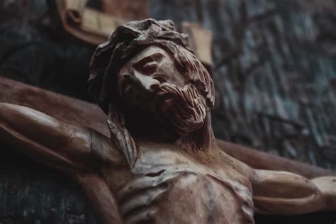 Ancient Skeleton Discovery May Change Understanding of Early ...