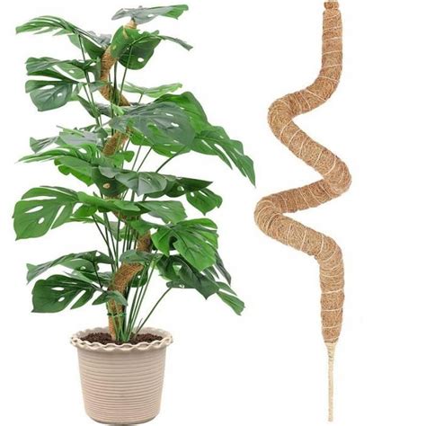 Pc Cm Tuteur Coco Pour Plante Monstera Pliable Plantes Poteaux En