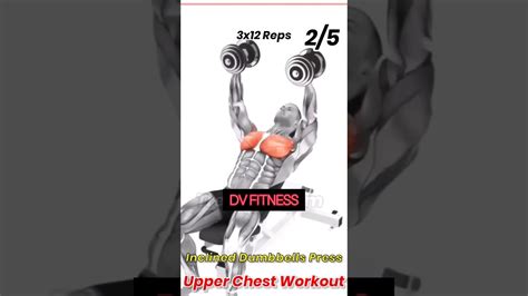 Upper Chest Workoutchest Exercise Gymlife Workout Youtube