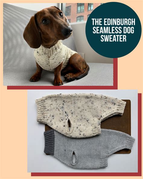 The Edinburgh Seamless Dog Sweater Free Knitting Pattern Knitting