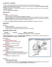 Understanding Enzymes Catalysts Of Life S Biochemical Reactions